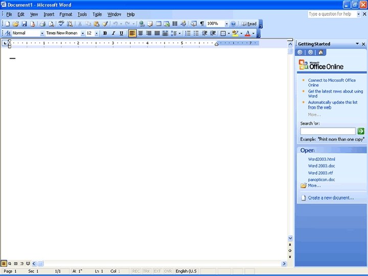 MS Word 2003 