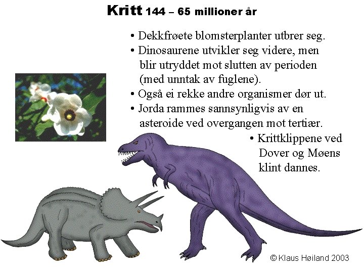 Kritt 144 – 65 millioner år • Dekkfrøete blomsterplanter utbrer seg. • Dinosaurene utvikler