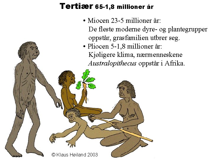 Tertiær 65 -1, 8 millioner år • Miocen 23 -5 millioner år: De fleste