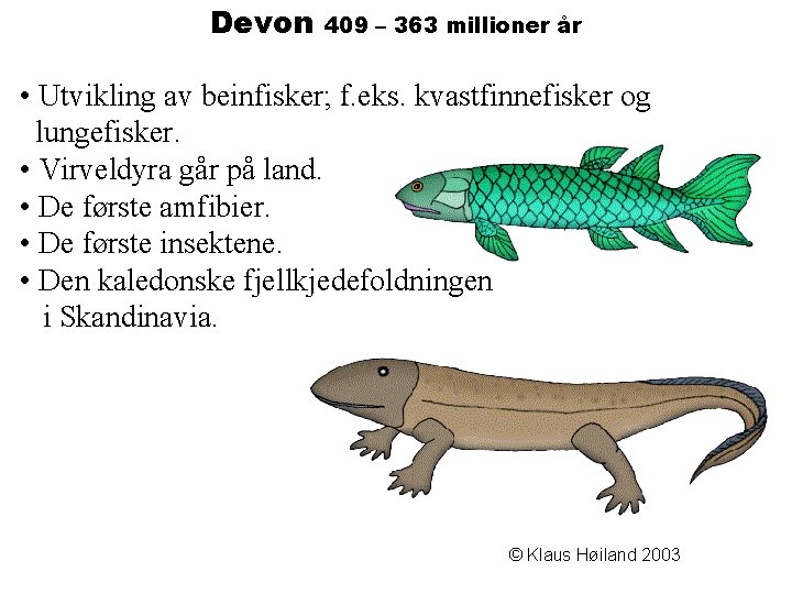 Devon 409 – 363 millioner år • Utvikling av beinfisker; f. eks. kvastfinnefisker og