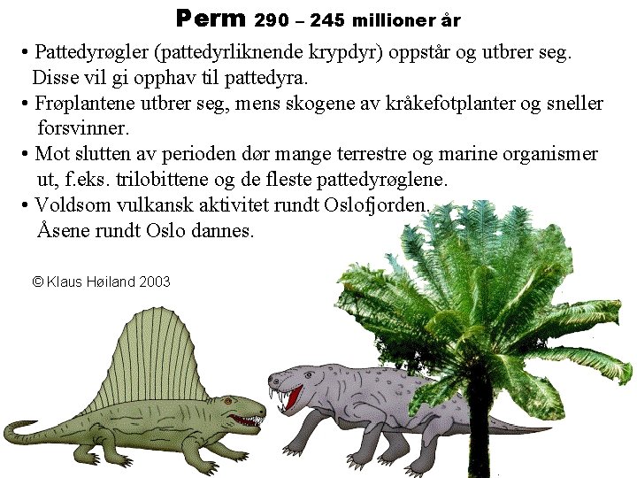 Perm 290 – 245 millioner år • Pattedyrøgler (pattedyrliknende krypdyr) oppstår og utbrer seg.