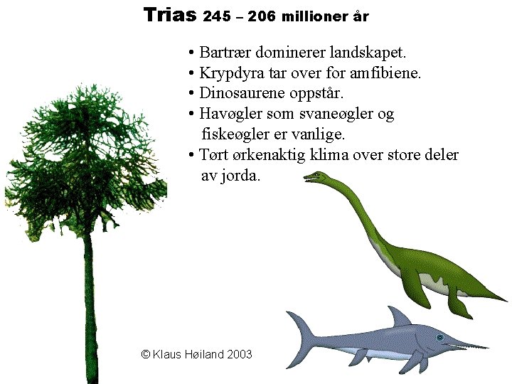 Trias 245 – 206 millioner år • Bartrær dominerer landskapet. • Krypdyra tar over