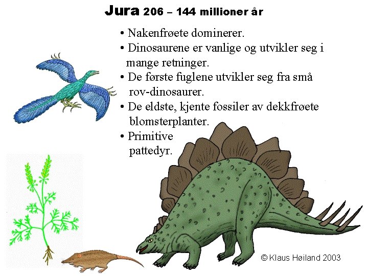 Jura 206 – 144 millioner år • Nakenfrøete dominerer. • Dinosaurene er vanlige og