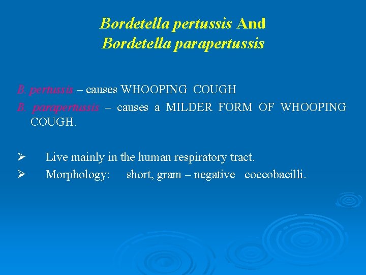 Bordetella pertussis And Bordetella parapertussis B. pertussis – causes WHOOPING COUGH B. parapertussis –