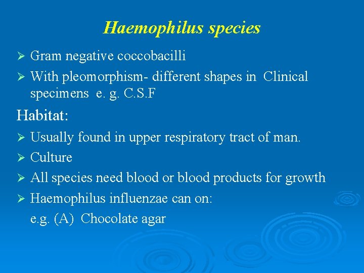 Haemophilus species Gram negative coccobacilli Ø With pleomorphism- different shapes in Clinical specimens e.