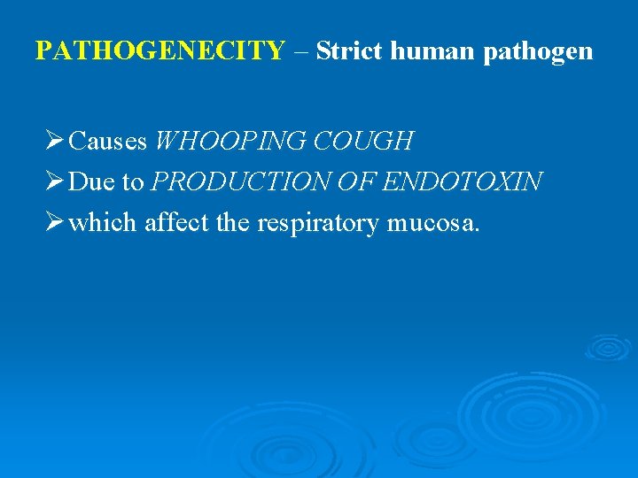 PATHOGENECITY – Strict human pathogen Ø Causes WHOOPING COUGH Ø Due to PRODUCTION OF