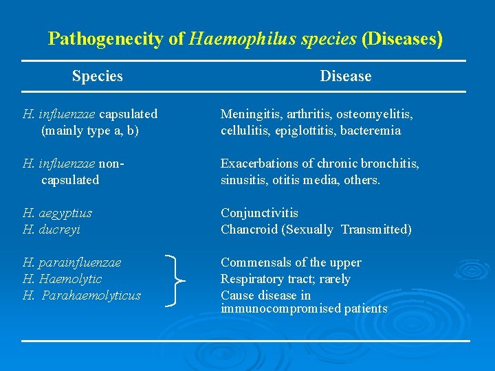 Pathogenecity of Haemophilus species (Diseases) Species Disease H. influenzae capsulated (mainly type a, b)