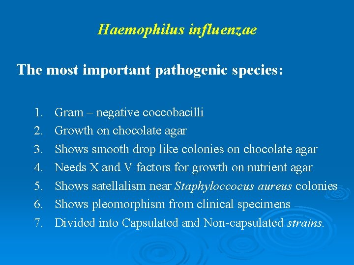 Haemophilus influenzae The most important pathogenic species: 1. 2. 3. 4. 5. 6. 7.