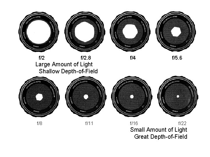 f/2 f/2. 8 f/4 f/5. 6 Large Amount of Light Shallow Depth-of-Field f/8 f/11