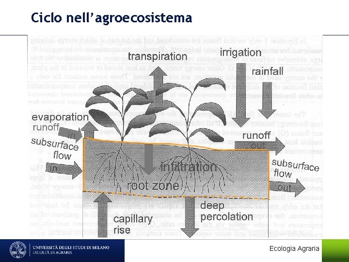 Ciclo nell’agroecosistema Ecologia Agraria 