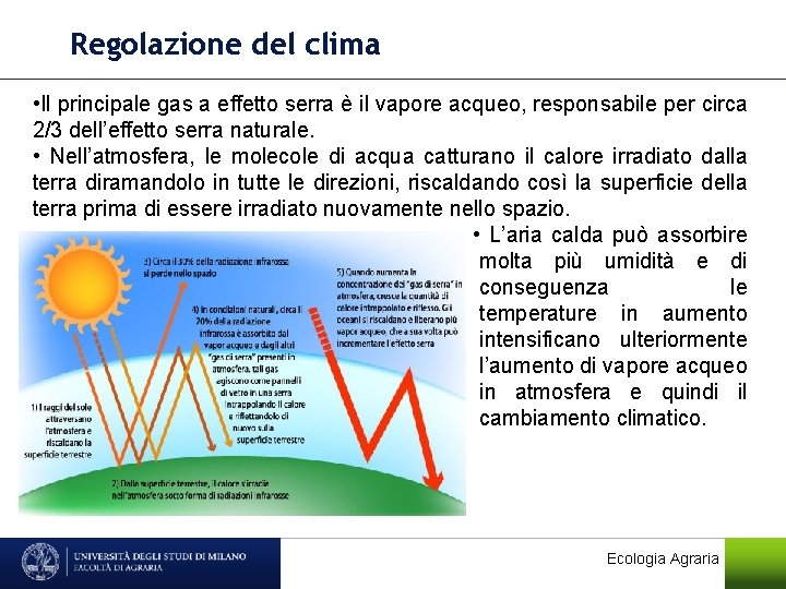 Regolazione del clima • Il principale gas a effetto serra è il vapore acqueo,
