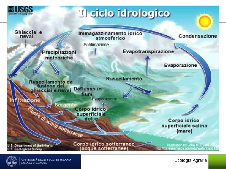 Ecologia Agraria 