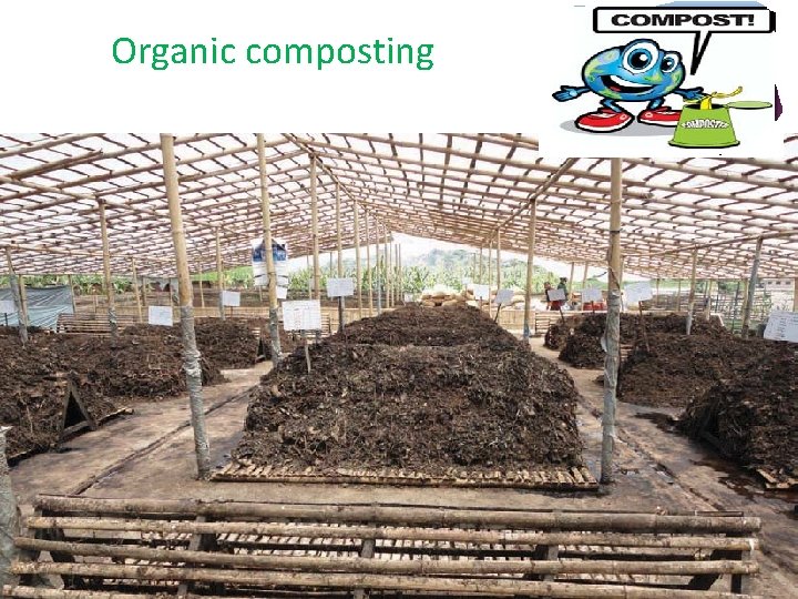 Organic composting 