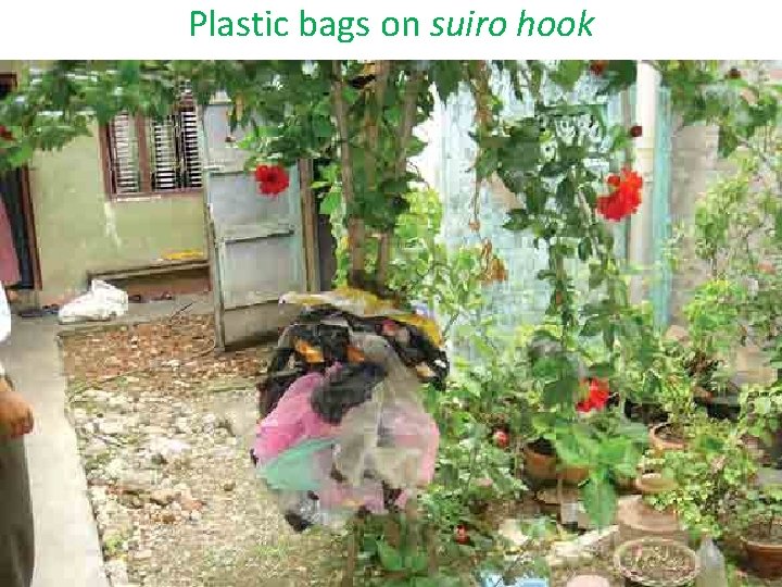 Plastic bags on suiro hook 