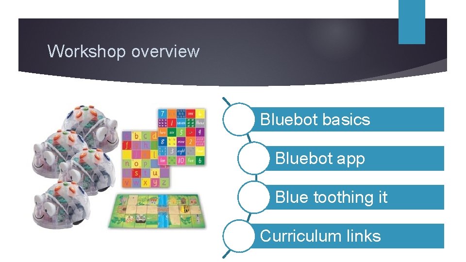 Workshop overview Bluebot basics Bluebot app Blue toothing it Curriculum links 