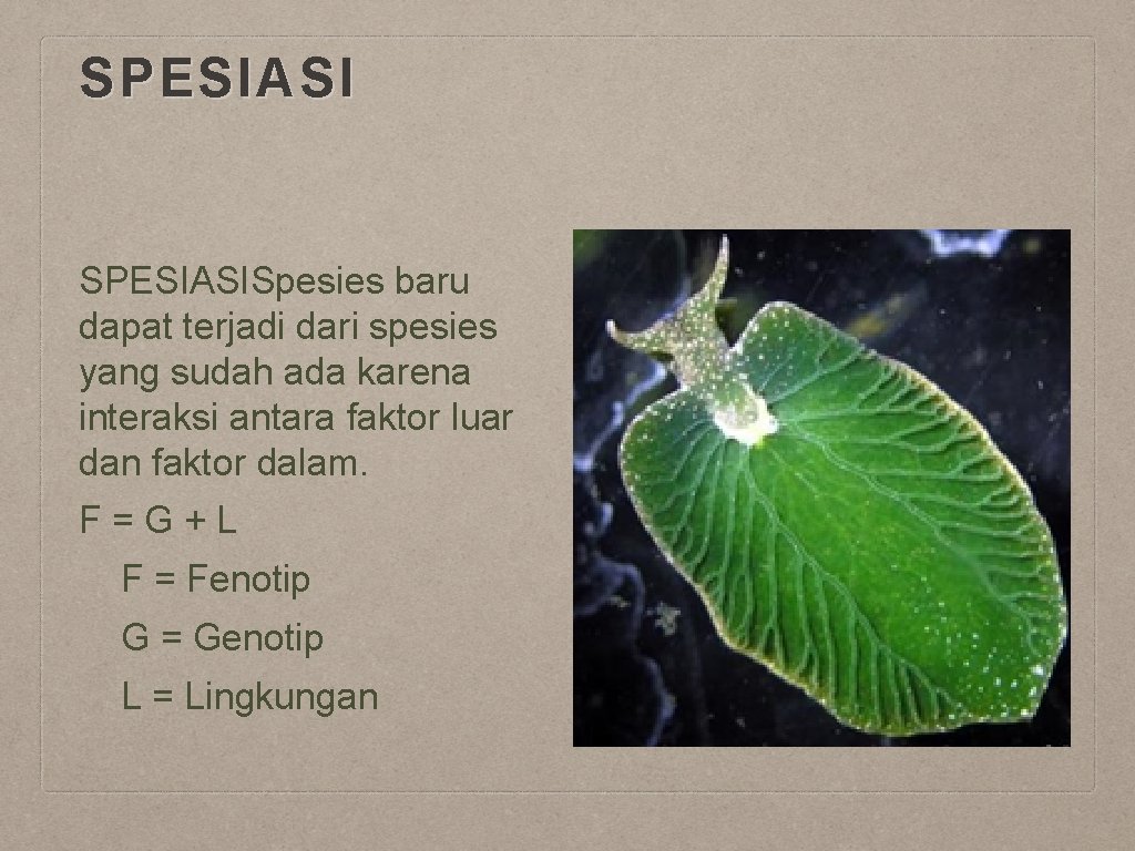 SPESIASISpesies baru dapat terjadi dari spesies yang sudah ada karena interaksi antara faktor luar