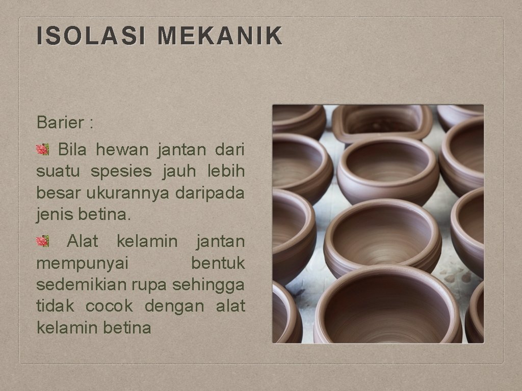 ISOLASI MEKANIK Barier : Bila hewan jantan dari suatu spesies jauh lebih besar ukurannya