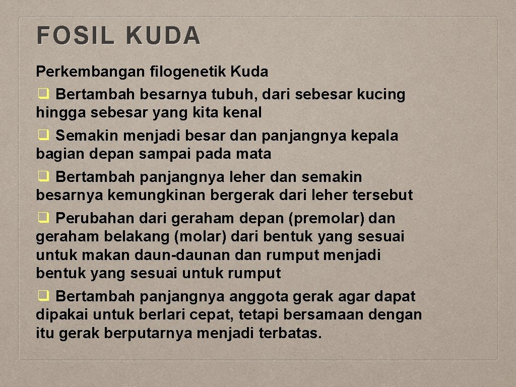FOSIL KUDA Perkembangan filogenetik Kuda ❑ Bertambah besarnya tubuh, dari sebesar kucing hingga sebesar