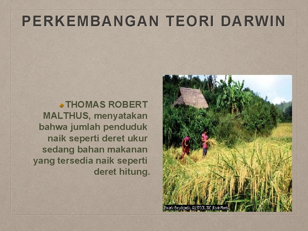 PERKEMBANGAN TEORI DARWIN THOMAS ROBERT MALTHUS, menyatakan bahwa jumlah penduduk naik seperti deret ukur