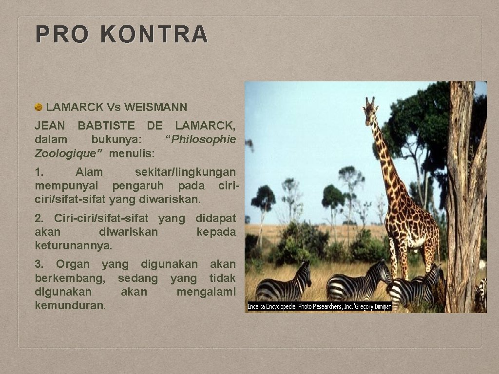 PRO KONTRA LAMARCK Vs WEISMANN JEAN BABTISTE DE LAMARCK, dalam bukunya: “Philosophie Zoologique” menulis: