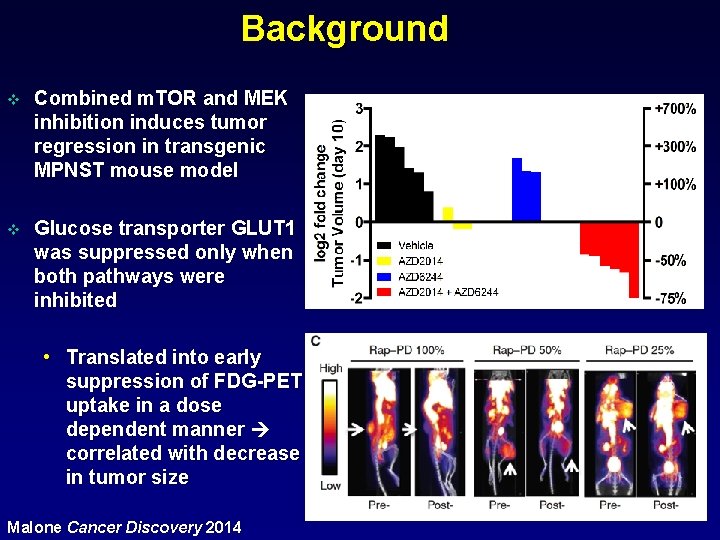 Background v Combined m. TOR and MEK inhibition induces tumor regression in transgenic MPNST