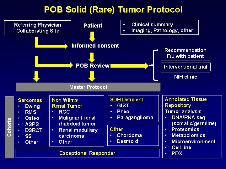 POB Solid (Rare) Tumor Protocol Referring Physician Collaborating Site • • Patient Clinical summary