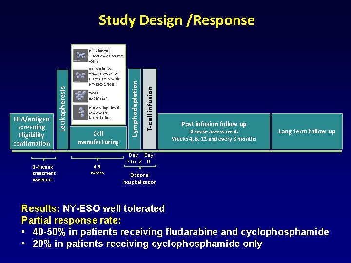 Study Design /Response 3 -4 week treatment washout T-cell expansion Harvesting, bead removal &