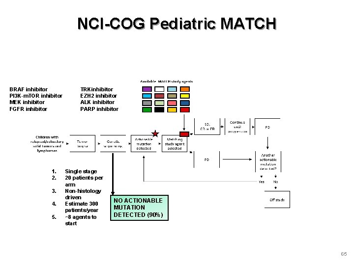 NCI-COG Pediatric MATCH BRAF inhibitor PI 3 K-m. TOR inhibitor MEK inhibitor FGFR inhibitor