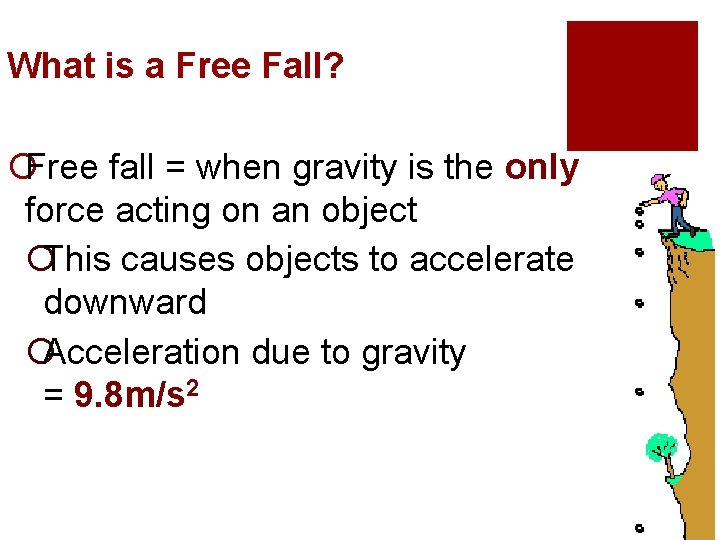 What is a Free Fall? ¡Free fall = when gravity is the only force