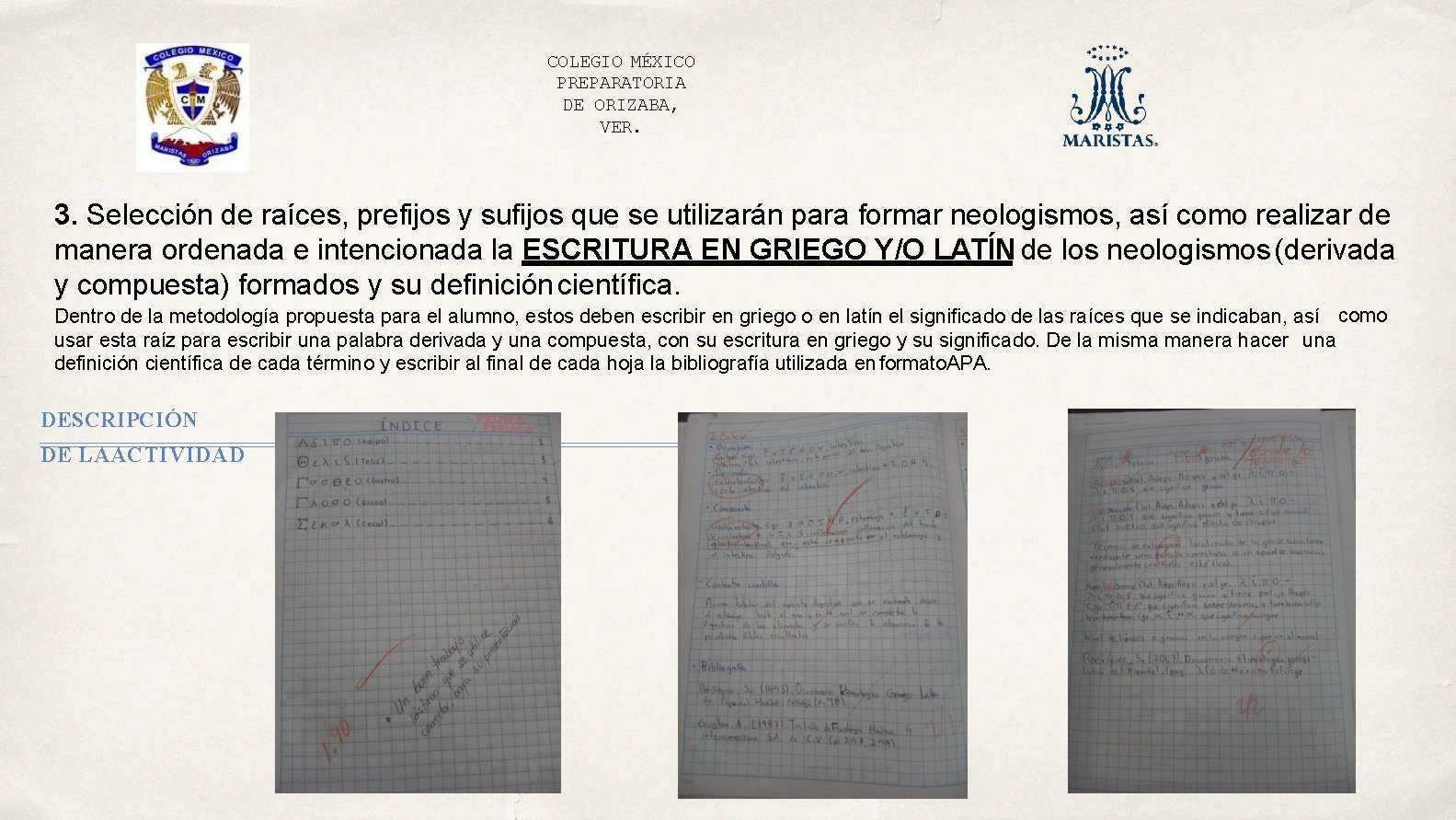 COLEGIO MÉXICO PREPARATORIA DE ORIZABA, VER. 3. Selección de raíces, prefijos y sufijos que