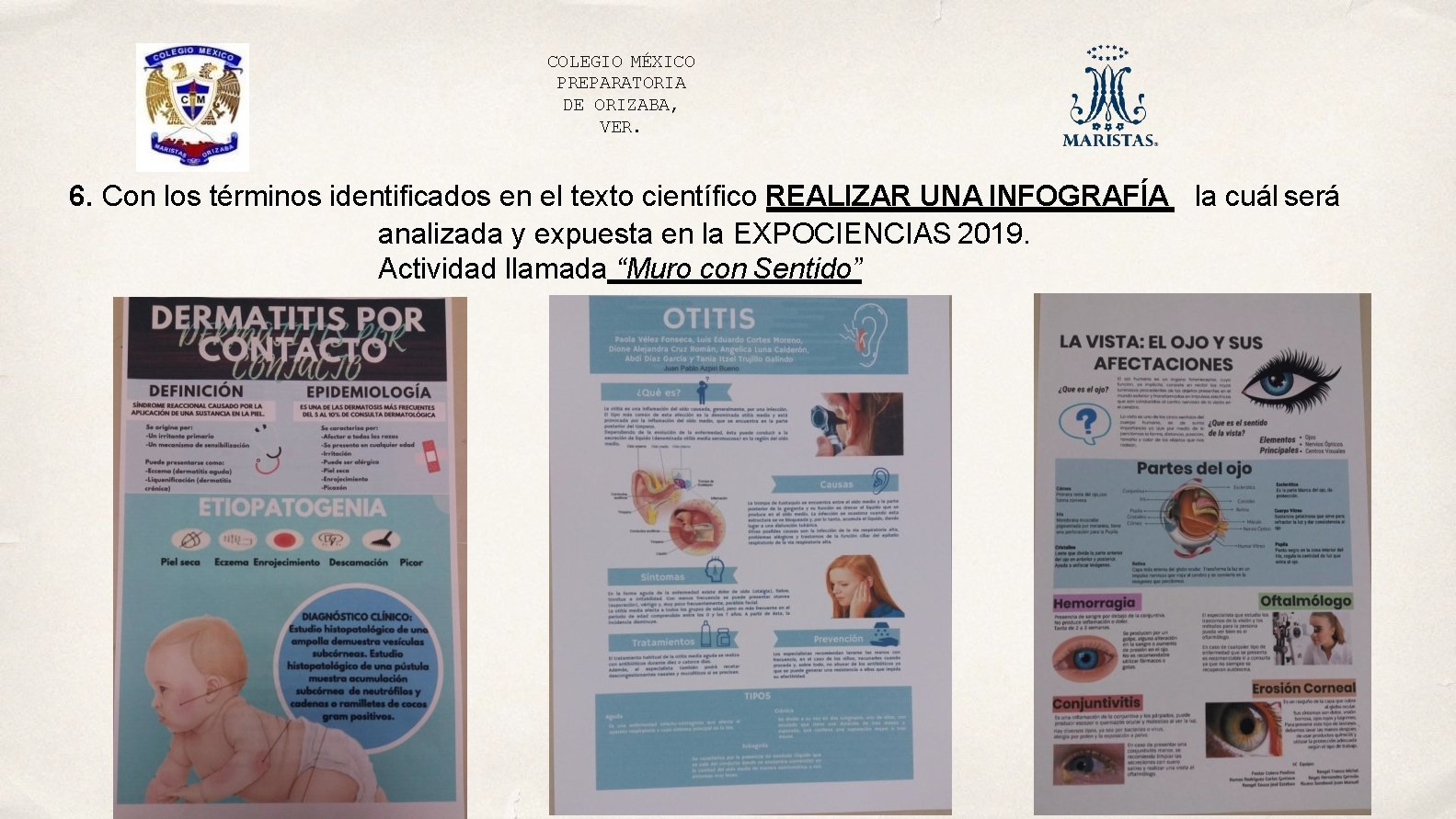 COLEGIO MÉXICO PREPARATORIA DE ORIZABA, VER. 6. Con los términos identificados en el texto