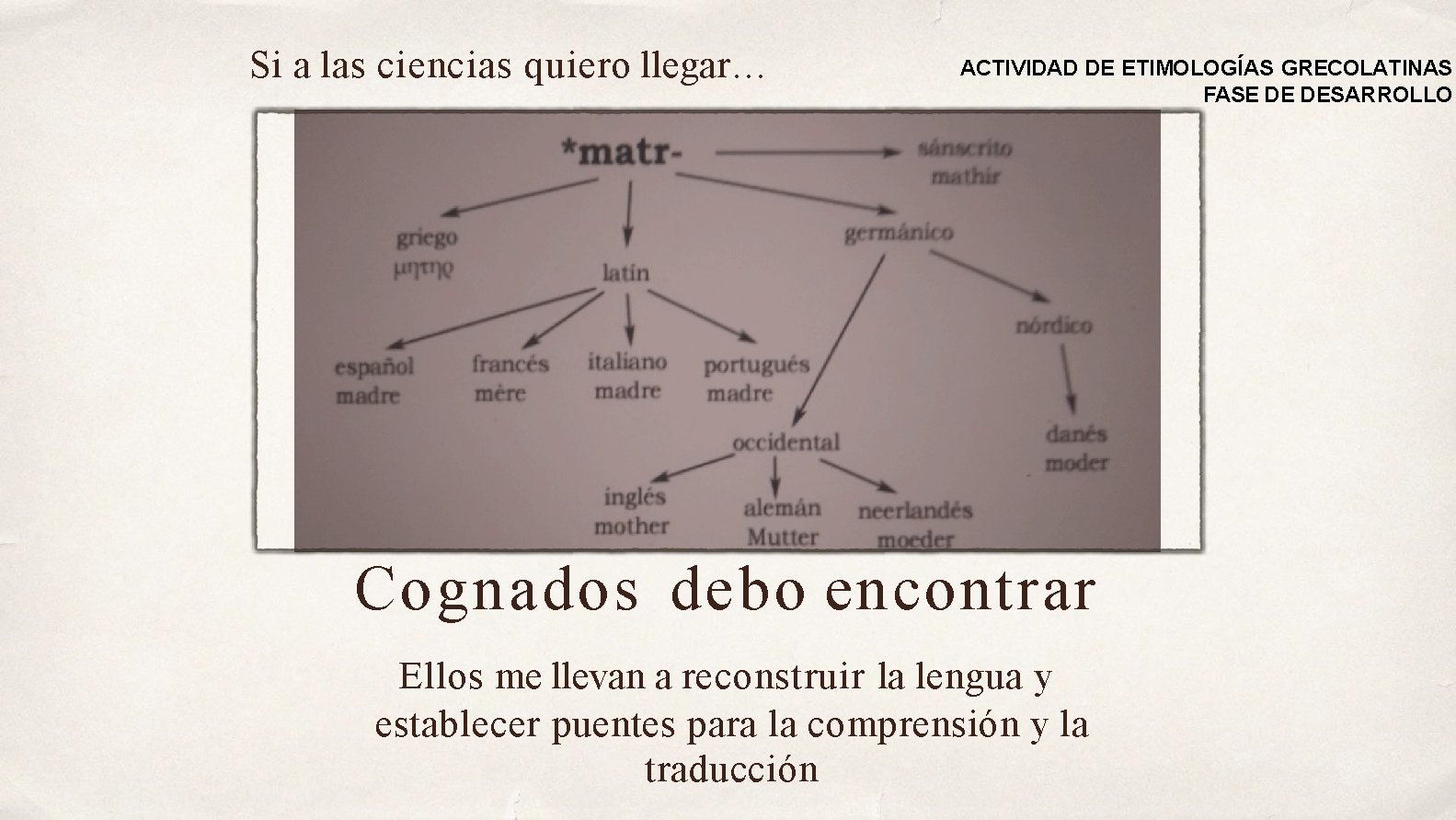 Si a las ciencias quiero llegar… ACTIVIDAD DE ETIMOLOGÍAS GRECOLATINAS FASE DE DESARROLLO Cognados