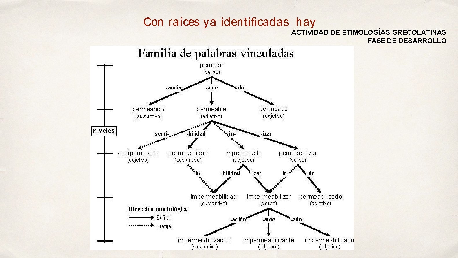 Con raíces ya identiﬁcadas hay ACTIVIDAD DE ETIMOLOGÍAS GRECOLATINAS FASE DE DESARROLLO 