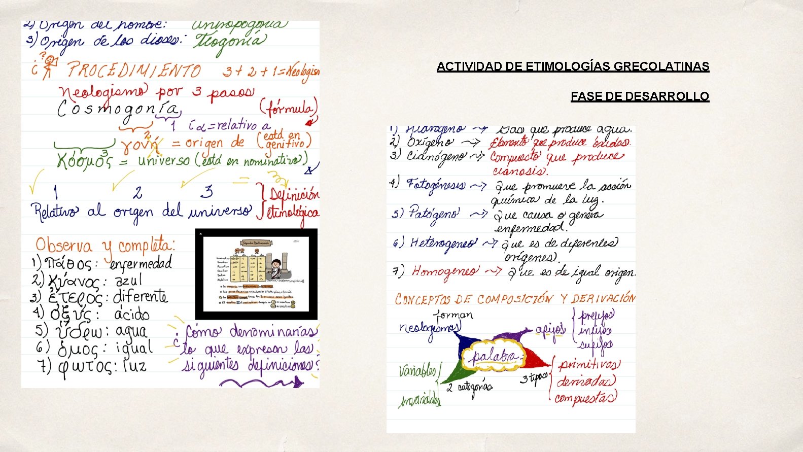 ACTIVIDAD DE ETIMOLOGÍAS GRECOLATINAS FASE DE DESARROLLO 