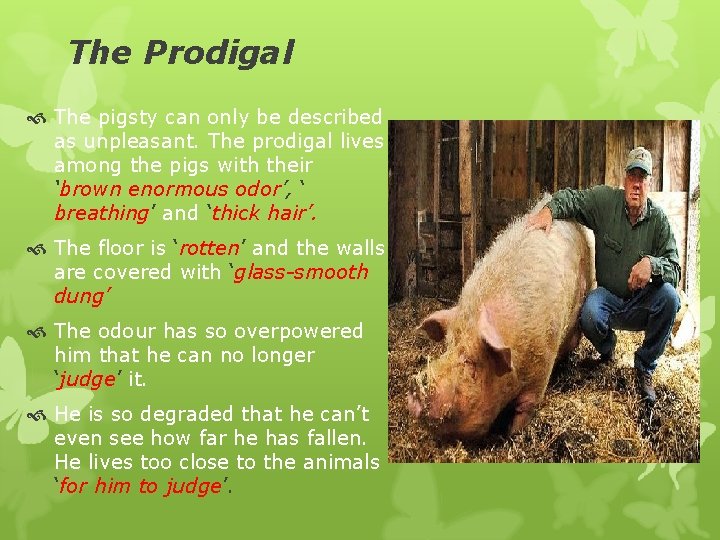 The Prodigal The pigsty can only be described as unpleasant. The prodigal lives among
