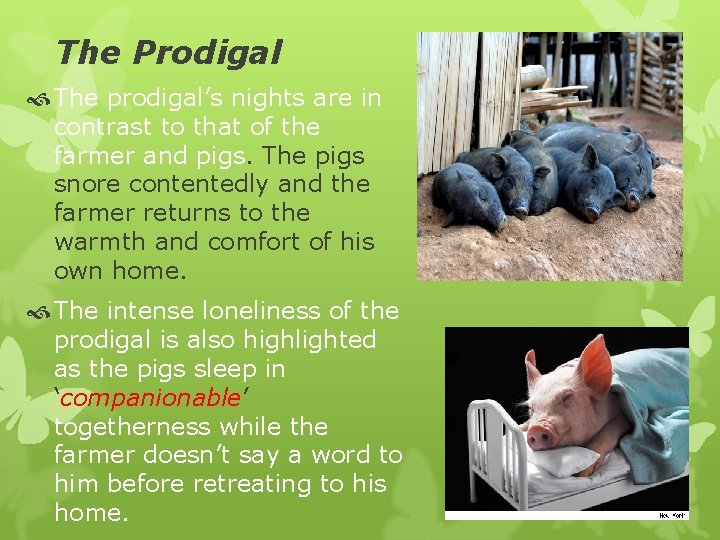 The Prodigal The prodigal’s nights are in contrast to that of the farmer and