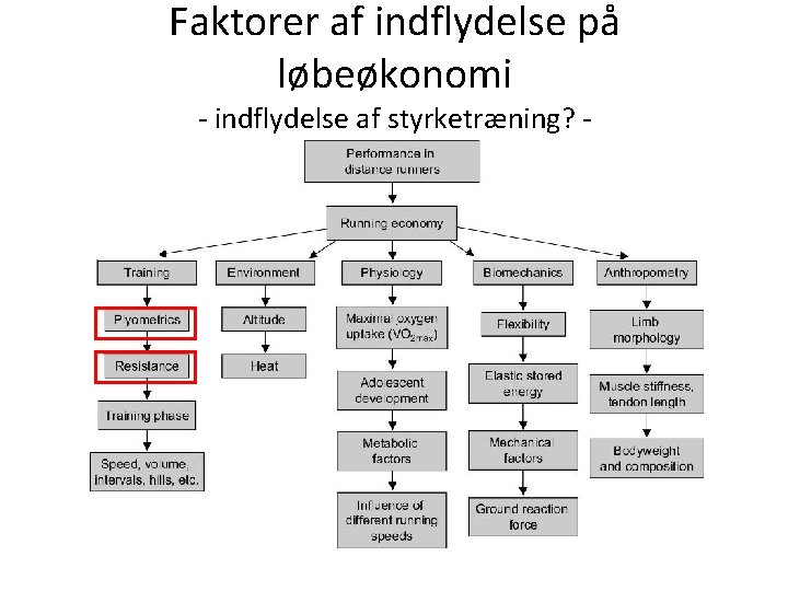 Faktorer af indflydelse på løbeøkonomi - indflydelse af styrketræning? - 