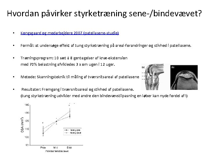 Hvordan påvirker styrketræning sene-/bindevævet? • Kongsgaard og medarbejdere 2007 (patellasene-studie) • Formål: at undersøge Hvordan påvirker styrketræning sene-/bindevævet? • Kongsgaard og medarbejdere 2007 (patellasene-studie) • Formål: at undersøge