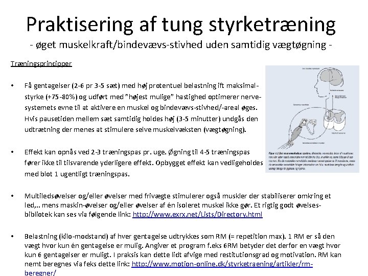 Praktisering af tung styrketræning - øget muskelkraft/bindevævs-stivhed uden samtidig vægtøgning - Træningsprincipper • Få