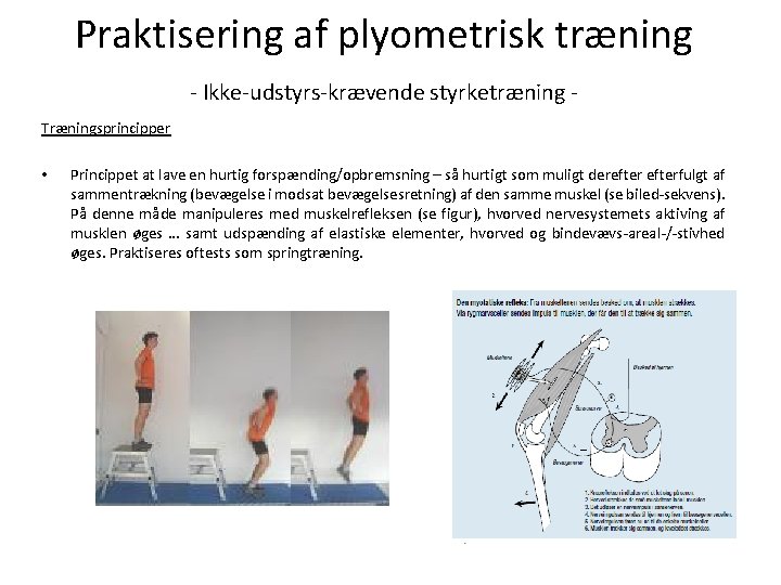 Praktisering af plyometrisk træning - Ikke-udstyrs-krævende styrketræning Træningsprincipper • Princippet at lave en hurtig