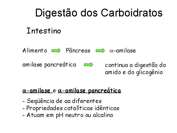 Digestão dos Carboidratos Intestino Alimento Pâncreas amilase pancreática -amilase continua a digestão do amido