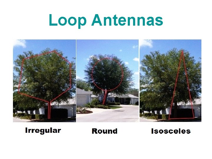 Loop Antennas 