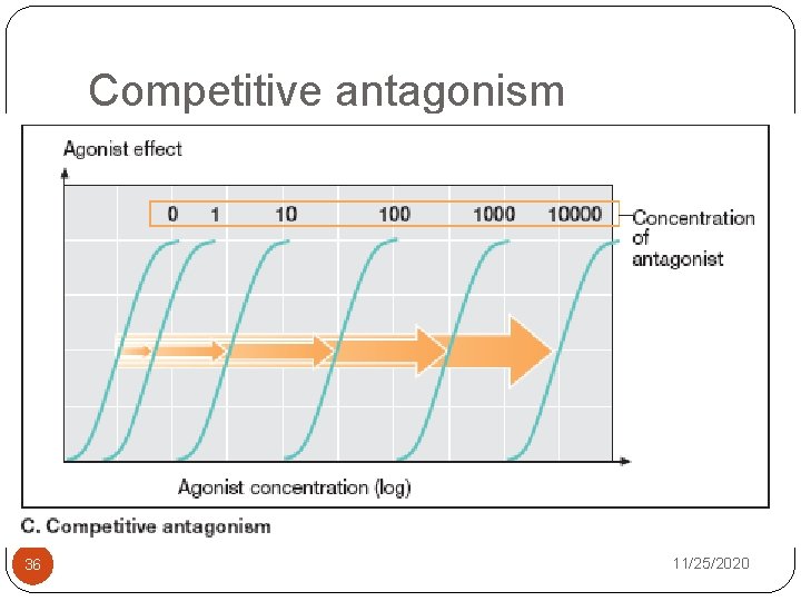 Competitive antagonism 36 11/25/2020 