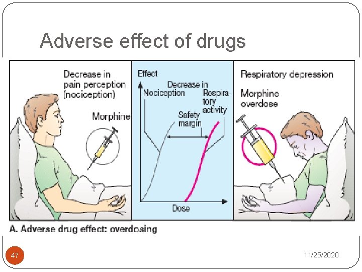 Adverse effect of drugs 47 11/25/2020 