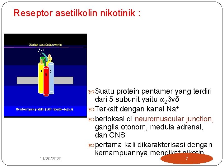 Reseptor asetilkolin nikotinik : Suatu protein pentamer yang terdiri 11/25/2020 dari 5 subunit yaitu