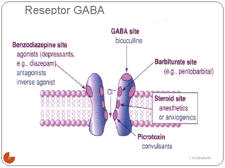 Reseptor GABA 8 11/25/2020 