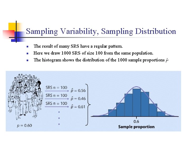 Sampling Variability, Sampling Distribution n The result of many SRS have a regular pattern.