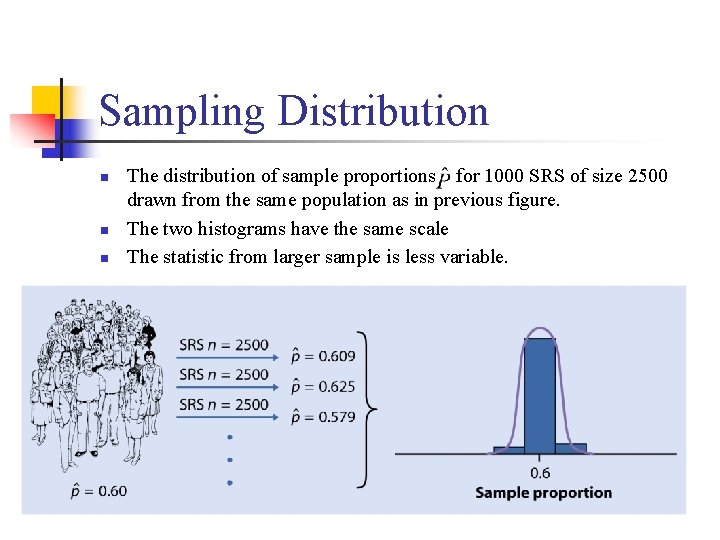 Sampling Distribution n The distribution of sample proportions for 1000 SRS of size 2500