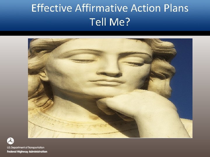 Effective Affirmative Action Plans Tell Me? 