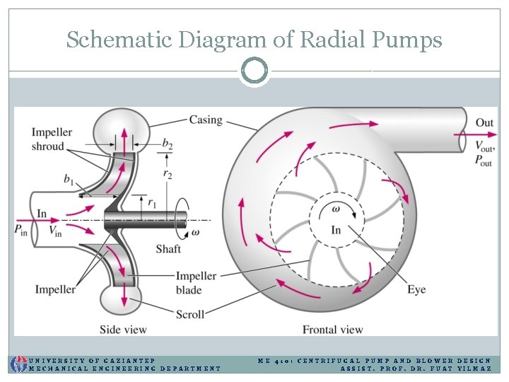 Schematic Diagram of Radial Pumps UNIVERSITY OF GAZIANTEP MECHANICAL ENGINEERING DEPARTMENT ME 410: CENTRIFUGAL Schematic Diagram of Radial Pumps UNIVERSITY OF GAZIANTEP MECHANICAL ENGINEERING DEPARTMENT ME 410: CENTRIFUGAL